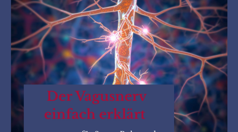 Der Vagusnerv einfach erklärt – warum er für Stress, Ruhe und Regeneration so wichtig ist